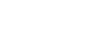 Pay with Revolut